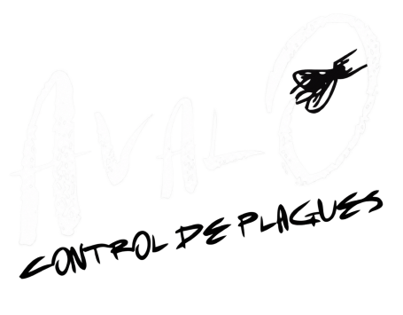 logoavalo